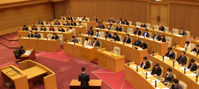 平成31年度予算特別委員会意見表明を行いました